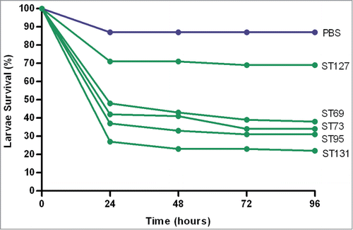 Figure 3. Comparative virulence of the major ExPEC sequence types. Percentage survival was calculated from 3 separate killing assays 96-hours post-inoculation. ST131 isolates (n = 4) to affected the lowest survival (22%, RR 5.88), closely followed by ST95 (n = 4, 31%, RR 5.19), ST73 (n = 3, 34%, RR 4.42) and ST69 (n = 3, 38%, RR 4.67), with ST127 isolates (n = 4) affecting the highest survival (69%, RR 2.31). The PBS control (blue line) is also included for comparison.