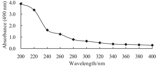 Figure 1. The UV spectrum of crude exopolysaccharides (CEPS) from Lactobacillus kimchi SR8.Figura 1. Espectro UV de los exopolisacáridos crudos (CEPS) de Lactobacillus kimchi SR8