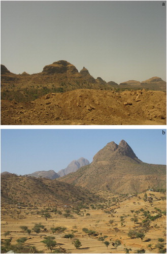 Figure 4. (a) Sub-horizontal Trap basalts near May Tsemre village, immediately north of Adi Arkay; (b) plugs east of Aksum.