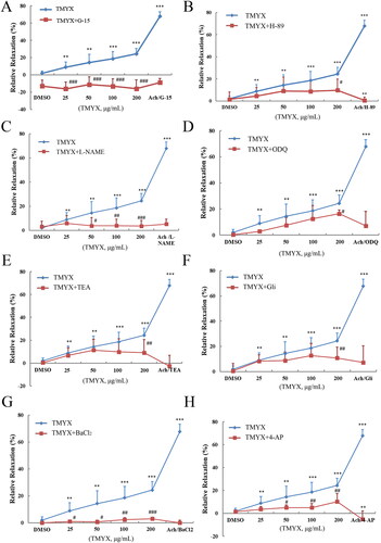 Figure 6. Effect of TMYX on the diastolic function of isolated coronary microvasculature by the HIF-1α pathway. (A) Effect of GPER inhibitor on the diastolic function of isolated coronary microvasculature of TMYX. (B) Effect of PKA inhibitor on the diastolic function of isolated coronary microvasculature of TMYX. (C) Effect of eNOS inhibitor on the diastolic function of isolated coronary microvascular of TMYX. (D) Effect of sGC inhibitor on the diastolic function of isolated coronary microvasculature of TMYX. (E–H) Effect of four K+ channel inhibitors on the diastolic function of isolated coronary microvascular of TMYX. The data are expressed as the mean ± SD; n = 3 animals/group; **p < 0.01, ***p < 0.001 vs. DMSO group; #p < 0.05, ##p < 0.01, ###p < 0.001 vs. TMYX group.