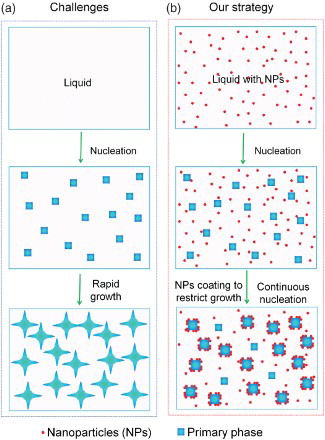 Figure 1. Schematic of the strategy to control phase growth by nanoparticles during solidification. (a) After the initial nucleation of the primary phase from liquid, the initially nucleated grains/phase domains grow rapidly and release latent heat, preventing the nucleation of new grains/phase domains. This results in a course structure. (b) In contrast, with uniform dispersed nanoparticles in the liquid, after initial nucleation, the nanoparticles rapidly adsorb on the surface of the nucleated phase and restrict their growth, enabling continuous nucleation in the whole period of cooling. Finally, a much fine microstructure can be achieved.