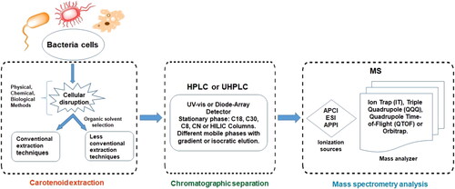 Figure 1. Schematic representation of the steps used for characterization of bacterial carotenoids.