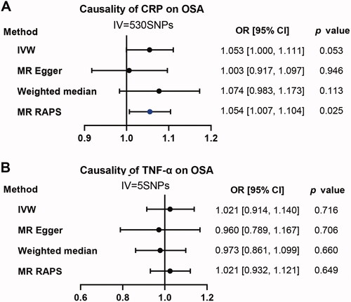 Figure 5. Causality analysis for CRP and TNF-α on OSA by Mendelian Randomization (MR). Several MR methods were applied to test the causality for CRP (A) and TNF-α (B) as exposure individually, OSA as outcome. IV: instrumental variable. SNP: single nucleotide polymorphism. IVW: inverse variance weighted. MR RAPS: MR-Robust Adjusted Profile Score (RAPS). The statistically different results with p<.05 were shown in blue point otherwise were shown in black point if p >.05.
