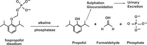 Figure 1 Metabolism of fospropofol.