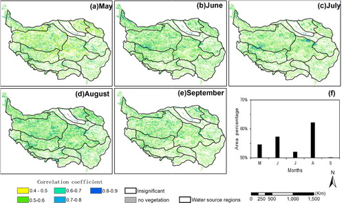 Figure 6. Maximum positive correlation coefficient between monthly NDVI from (a) May to (e) September and five snow cover durations (September–November, December–February, March–May, December–May, and September–May). The histogram in (f) shows the percentage of vegetated areas with significant positive correlations between snow cover duration and NDVI (p < 0.1) for each month from May to September.