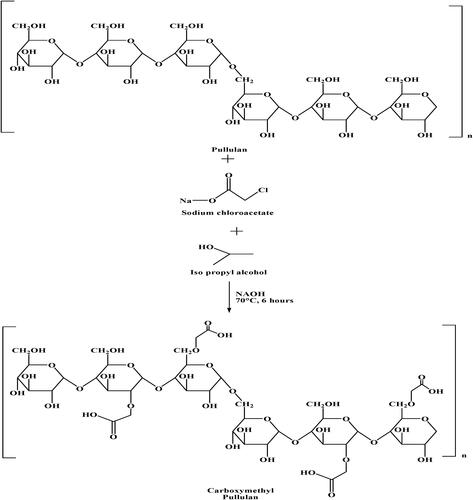 Figure 2. Scheme for synthesis of carboxymethyl pullulan.