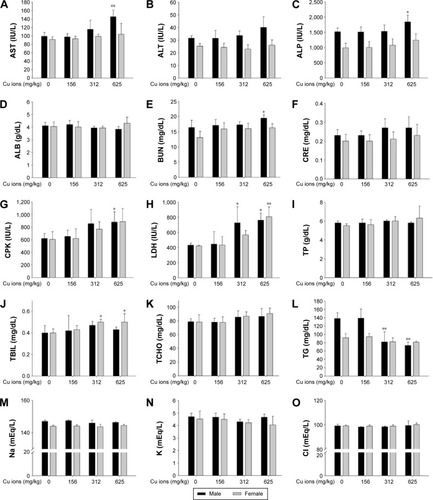 Figure 8 Serum biochemical changes of Cu ion-treated rats at dose levels of 0 mg/kg, 156 mg/kg, 312 mg/kg, and 625 mg/kg.Notes: The bar graphs show serum biochemical changes of Cu ion (A–O)-treated male and female rats. Values are presented as mean ± SD. *P<0.05, **P<0.01 vs vehicle control. Cu ions, copper(II) chloride.Abbreviations: ALB, albumin; ALP, alkaline phosphatase; ALT, alanine aminotransferase; AST, aspartate aminotransferase; BUN, blood urea nitrogen; CPK, creatine phosphokinase; CRE, creatinine; LDH, lactate dehydrogenase; TBIL, total bilirubin; TCHO, total cholesterol; TG, triglyceride; TP, total protein; SD, standard deviation.