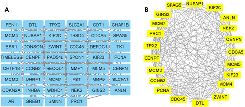 Figure 5 PPI network construction and hub genes identification using Cytoscape. (A) The PPI network of the overlapping DEGs were constructed in Cytoscape software. (B) The sub-module of the PPI network was illustrated using the MCODE tool.