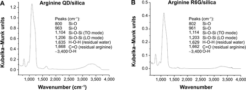 Figure S4 Diffuse reflectance infrared Fourier transform spectroscopy spectra of silica-coated (A) quantum dots and (B) Rhodamine 6G driven by arginine, showing full spectrum.Notes: Samples were lyophilized and vacuum dried at 110°C for at least 12 hours and then diluted to approximately 1% by weight/KBr. Sample runs set to continue for 20 minutes from 600 to 4,500 cm−1, with 2 cm−1 resolution.Abbreviations: R, Rhodamine; QD, quantum dots; TO, transverse optical; LO, longitudinal optical.