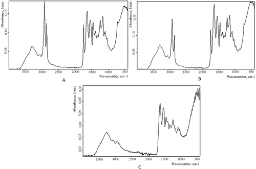 Figure 3. Infrared absorption spectrum: A – the control sample; B – the PM-5 sample; C – the edible gelatin imported.