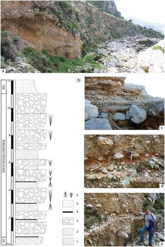 Figure 8. Stratigraphy and facies of the Raffo Rosso synthem (RFR). (a) Panoramic view of the natural type section of the Raffo Rosso synthem (Capo Gallo, see index map of Figure 2/Geological Sheet for location). (b) Columnar type section of RFR. Legend: 1. Upper Pleistocene (Tyrrhenian) bioclastic conglomerates and calcarenites of the Barcarello synthem (SIT); 2. mud-supported fine breccias; 3. well-cemented coarse breccias; 4. paleosoils; 5. soil and debrites of the Capo Plaia synthem (AFL); 6. normal (a) and reverse (b) gradational structures. (c) Well-cemented stratified debrites cyclically alternated with mud-supported fine breccias. (d) Paleosoil (pa) interlayered into the well-cemented and stratified breccias (csb). (e) Lower boundary of the Raffo Rosso synthem (RFR), marked by red paleosoil (pa), with the continental lithofacies of the Barcarello synthem (SIT). All the photos come from the Capo Gallo outcropping site (see Figure 2).