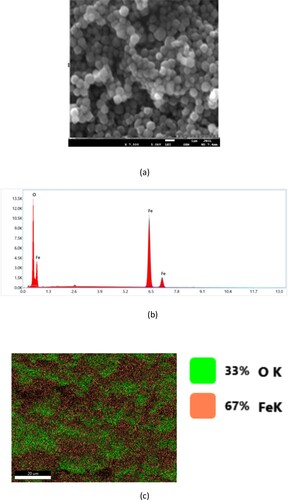 Figure 4. SEM image (a), EDX analysis (b) and elemental mapping (c) of the prepared hematite.