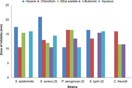 Figure 2. Comparison of antibacterial activities of fractions of leaves of Verbena officinalis against different strains at the sample concentration of 40 mg/mL (n = 3).