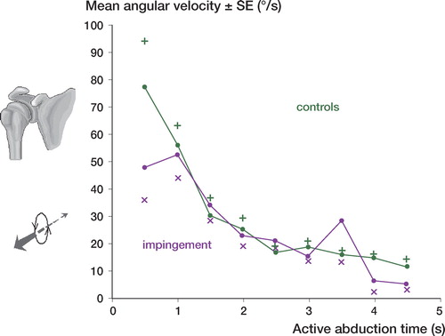 Figure 8. Angular velocity during active abduction. Patients with impingement versus the control group. Mean SE (p = 0.4).