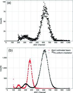 Figure 8. (a) Topside guard-ring setup showing the energy spectrum of the 55Fe uniform irradiation. The energy resolution was 22.4% (FWHM) at a gain of approximately 1480. (b) Backside ring setup showing the 60 μm square collimated beam (red circles) and 55Fe uniform irradiation (black x-marks). The resolutions were 17.3 and 23.4% (FWHM) at gains of approximately 2700 and 6300, respectively.