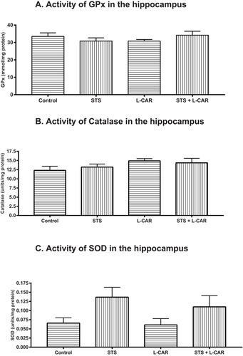 Figure 4 Effect of L-CAR and/or STS on the activity of anti-oxidative stress capacity enzymes in the hippocampus tissue. (A) GPx activity, (B) catalase activity, and (C) SOD activity were similar among all experimental groups in the hippocampal tissue. Mean values ± SEM of 15 rats per group are presented.