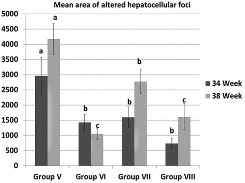 Figure 2. The mean area of altered hepatocellular foci in different groups at 34th and 38th week. All data were presented as mean value (n = 10) ± standard error. Values bearing different superscripts (a, b, c) are significant at p < 0.05.