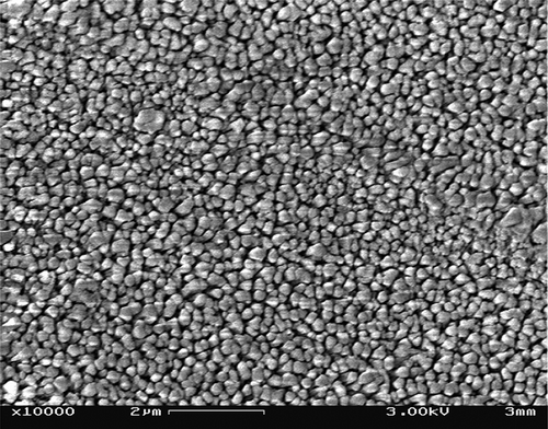 Figure 7 Cryogenic scanning electron microscope image of Process D (double-pass homogenization at 96.53 MPa with homogenization temperature of 98 ± 2ºC) soymilk, shows that the particles are completely separated, hydrated with smooth surface, and having uniform particle size and distribution. The fat and protein particles are difficult to be identified separately. Hydration due to heat treatment and small particle size due to pressurized double homogenization helped in dispersion and uniform arrangement of particles in the fat-protein matrix.