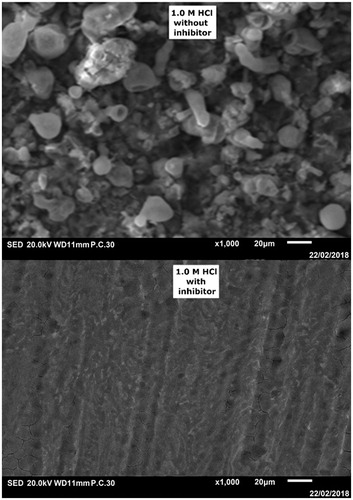 Figure 9. SEM images of CS surface in absence and presence of tested inhibitor at 5 × 10−3 concentration after 6 h of immersion time at 303 K.