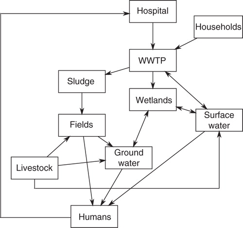 Fig. 2.  Antibiotics and antibiotic resistance genes (ARGs) can enter and re-emerge in humans via the environment by a number of different routes. For example, antibiotics and ARGs from patients taking antibiotics can end up in various environments (e.g. surface water) via excrements which pass through the wastewater treatment system. The commixture of antibiotics, ARGs and resident environmental bacteria at these locations provide an ideal opportunity for ARGs to develop and disseminate in the bacterial community.