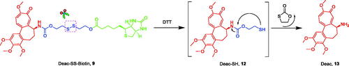 Figure 3. Reduction-sensitive drug release mechanism of Deac-SS-Biotin triggered by DTT (Glutathione mimetic).