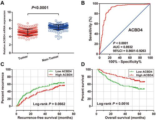 Figure 2 The diagnostic and prognostic values of ACBD4 in GSE14520 HBV-related HCC cohort. (A) Expression distribution of ACBD4 in tumor and adjacent paracancerous tissues; (B) the ROC curve of ACBD4 gene in distinguished tumor and adjacent paracancerous tissues; (C) Kaplan-Meier curve of ACBD4 in HBV-related HCC recurrence-free survival time; (D) Kaplan-Meier curve of ACBD4 in HBV-related HCC overall survival time.