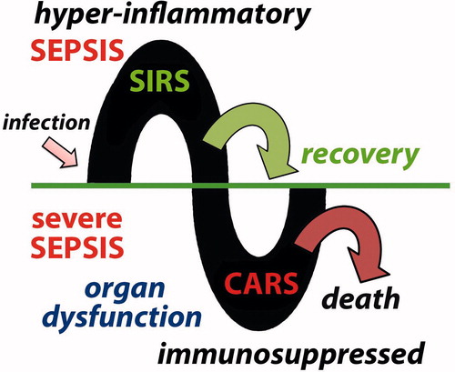 Figure 1. Sepsis may be divided into two phases. Following infection, a hyper-inflammatory phase is characterized by SIRS. This may resolve or the patient may progress to what is called severe sepsis. During this phase, there is evidence of CARS with immunosuppression and multiple organ dysfunction. This may also resolve, especially with appropriate support, but it often leads to death.