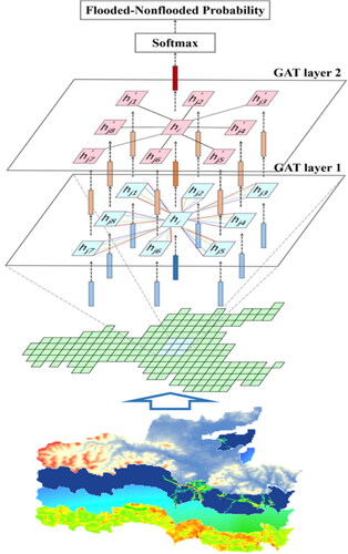 Figure 1. The model structure of a GAT with two graph convolutional layers (four head attention mechanisms for the first layer and one for the second). the study area is firstly decomposed into a graph composed of nodes based on the relative spatial positions, and each node represents an individual unit in the study area. The features of each unit will go through multiple GAT layers for information aggregation. The output of the final layer is transformed into the results of each unit’s flooded and nonflooded probability using softmax function.