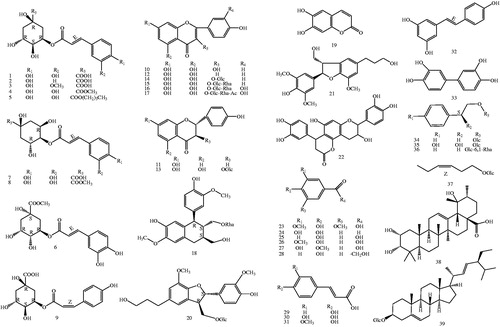 Figure 1. Chemical structures of isolated compounds (1–39) from T. hemsleyanum (Glc: glucosyl; Rha: Rhamnosyl. The configurations of all the sugar residues in the glycosides were determined as β-D with 1H NMR).