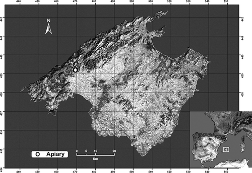 Figure 1. Topographic map of Mallorca showing the location of the apiary. The white square in the lower box indicates the position of the island in the western Mediterranean.