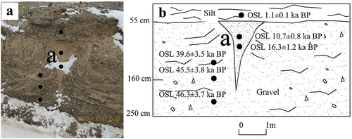 Figure 7. (A) Section along access road to Mount Niutoushan, west bank of the Ngöring Lake. (B) Schematic diagram is for illustrating the wedge and dating.