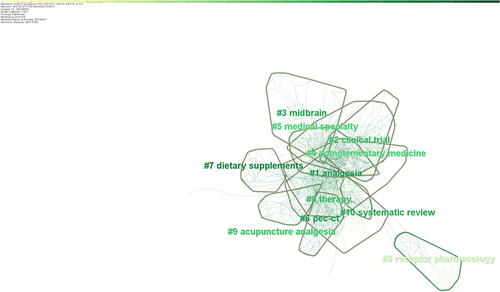 Figure 7 Keyword co-occurrence cluster map of the 100 most highly cited publications on acupuncture for migraine.