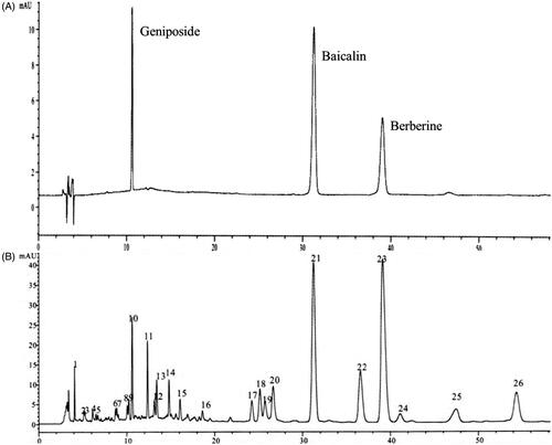 Figure 2. HPLC analysis of HLJDD as the powder of the whole prescription. (A) Representative peaks of standard chemicals as the main ingredients of HLJDD. (B) HPLC chart of HLJDD was measured by DAD multi-wavelength detection at the wavelength of 260 nm.