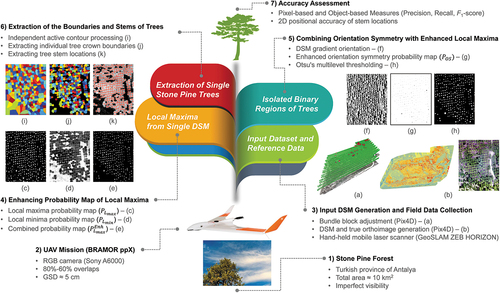 Figure 1. Proposed methodology for the automated extraction of individual Stone Pine trees.