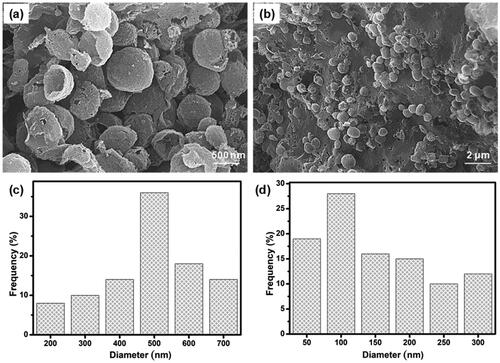 Figure 2. SEM micrographs of (a) PC nanocapsules (b) and CS-GP/PC polymeric hydrogel. The histogram of (c) PC nanocapsules (d) and CS-GP/PC polymeric hydrogel diameter.