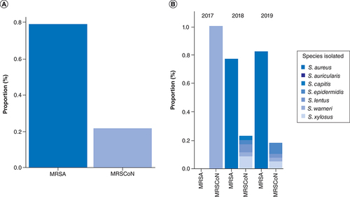 Figure 1. Overall distribution of methicillin-resistant staphylococci (A) and distribution of methicillin-resistant staphylococci species per year (B).MR-CoNS: Methicillin-resistant coagulase-negative staphylococci; MRS: Methicillin-resistant staphylococci; MRSA: Methicillin-resistant Staphylococcus aureus.