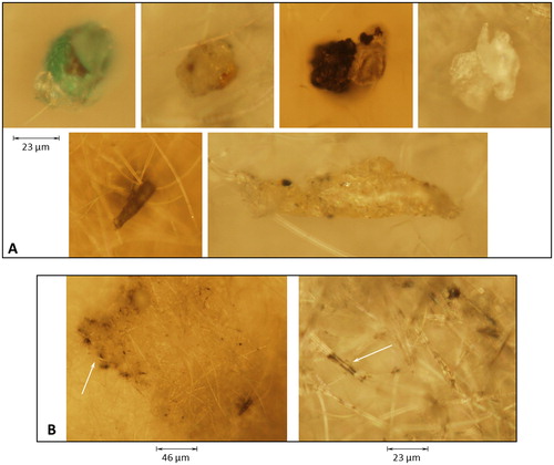 Figure 8. Microscopic images of the particles observed on the filters (magnification: 20×). (a) arbitrarily observed individual contaminant particles found on the filter in addition to the carbon black (bottom row shows pendent particles on fibers), and (b) aggregated areas of carbon-black particles (see arrow in left image, magnification: 10×) and filter fibers coated with carbon-black (see arrow in right image).