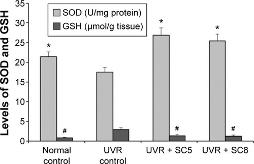 Figure 7 Skin levels of SOD and GSH in preclinical antioxidant activity in rats.Notes: All values are presented as mean ± SD, n=6; *significantly (P<0.05) different compared with UVR control group (for SOD); #significantly (P<0.05) different compared with UVR control group (for GSH). Normal: Normal rats (no sunscreen cream and no UVR); UVR control: Rats subjected to UVR without application of sunscreen cream; UVR + SC5: Rats subjected to UVR after application of SC5 sunscreen cream; UVR + SC8: Rats subjected to UVR after application of SC8 sunscreen cream.Abbreviations: UVR, ultraviolet radiation; SC, sunscreen cream; GSH, glutathione; SOD, superoxide dismutase.