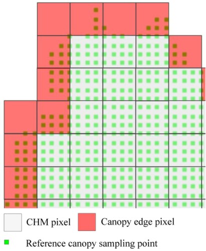 Figure 13. A sample with reference canopy sampling points overlaid on the CHM.