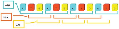 Figure 7 Different basic unit patterns due to shifting.