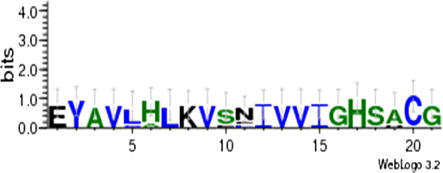Figure 5. Sequence logos of several plant carbonic anhydrase generated by the WebLogo3 program http://weblogo.threeplusone.com/ showing contributions of individual amino acid positions to the overall beta-CA motif. In the logo, the letters are sorted, so that the most common one is on top, the height of each letter is made proportional to its frequency, and the height of the entire stack is adjusted to signify the ‘information content’ (measured in bits) of the sequences at that position. The logo displays both significant residues and subtle sequence patterns.