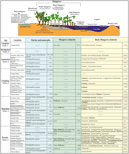 Figure 3. Mangrove, back mangrove and marine palynomorphs abundance and distribution of Anatolia from the Eocene to Miocene.