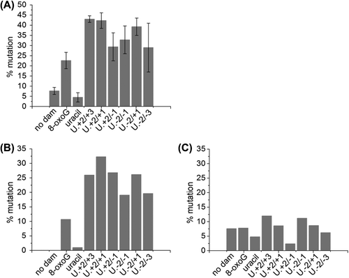 Figure 6. Mutation frequency of a single uracil residue, a single 8-oxoG lesion and a three-lesion cluster of an AP site with bi-stranded 8-oxoG lesions in MutY/Fpg null E. coli. The mutation frequency was calculated by dividing the number of individual mutations found in the oligonucleotide sequence ligated in to pUC19 plasmid by the total number of oligonucleotides sequences sequenced. Some plasmids contained two oligonucleotide sequences. (A) The total number of mutations. The error bars represent standard deviations of three independent experiments. (B) Mutations at either of the 8-oxoG lesions or the uracil residue. (C) Mutations other than those at the 8-oxoG lesions or the uracil residue.