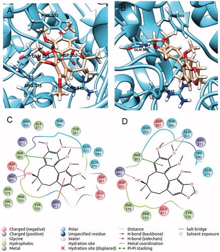 Figure 3. (A and C) best pose of cp1 (PLP) in complex to glucosidase; (B and D) best pose of cp4 (PLP) in complex to glucosidase.
