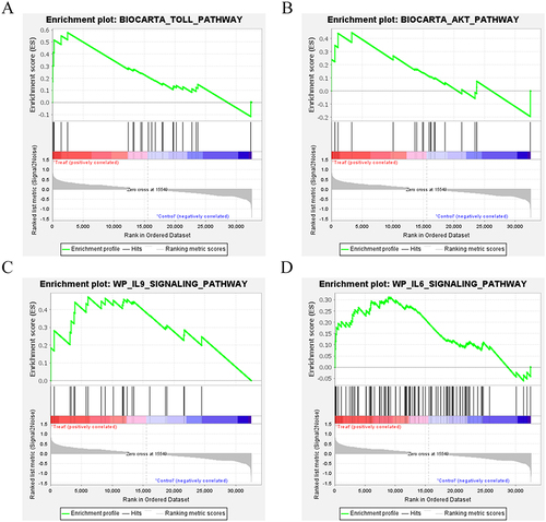 Figure 3 GSEA results of the treatment group. (A) The genes in the treatment group were significantly enriched in Toll pathway. (B) The genes in the treatment group were significantly enriched in AKT pathway. (C) The genes in the treatment group were significantly enriched in IL-9 signaling pathway. (D) The genes in the treatment group were significantly enriched in IL-6 signaling pathway.