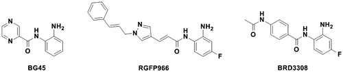 Figure 1. The reported HDAC3-selective inhibitors for the treatment of a range of diseases.