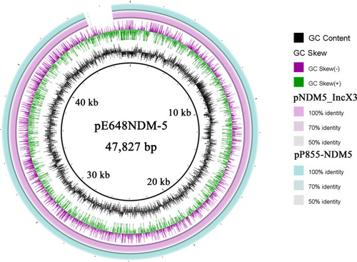 Figure 4 Sequence alignment of the pE648NDM-5 with the pNDM5_IncX3 and the pP855-NDM5 generated by the Brig software.