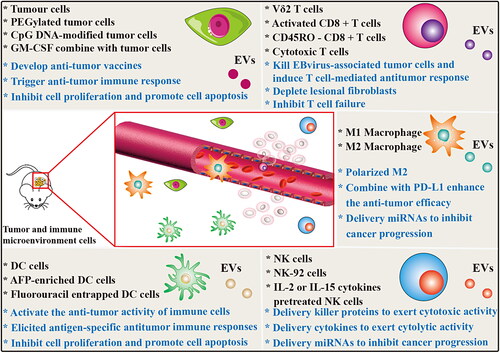 Figure 4. Other Mammalian cells derived EVs for cancer therapy. The EVs derived from tumor cells and main immune cells carry a variety of bioactive molecules that play an effective anti-tumor efficacy in various cancer diseases. EVs derived from tumor cells and DC cells mainly induce specific humoral and cellular immune responses in the body, enhance the anticancer ability of the body and prevent the growth of tumors. M1-type macrophages are derived from EVs polarized M2-type macrophages into anti-tumor M1-type macrophages and release inflammatory cytokines to play a role in tumor therapy. EVs from NK cells and T cells play a therapeutic role by releasing tumor-killing molecules and cytotoxic effects.