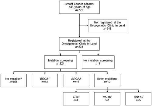 Figure 2. Flow chart of study inclusion and mutation status of the 224 BC patients who were mutation screened. aIncluding variants of uncertain significance in BRCA1 (n= 6), TP53 (n= 2), CHEK2 (n= 1), PTEN (n= 1) and CDH1 (n= 1).