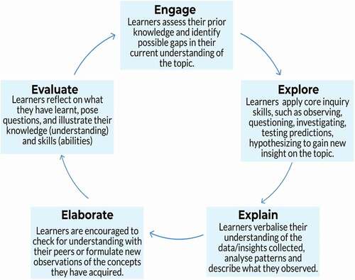 Figure 1. 5E inquiry model (adapted from Bybee et al., Citation2006)